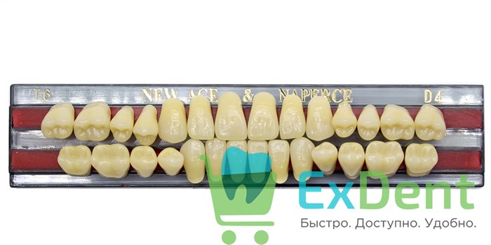 Гарнитур акриловых зубов D4, T6, Naperce и New Ace (28 шт) 20210 - фото 27457