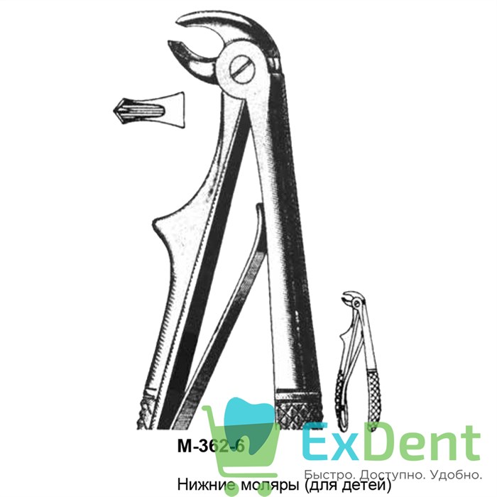 Щипцы, Legrin, №362/6 для удаления моляров нижней челюсти, для детей 14484 - фото 32241