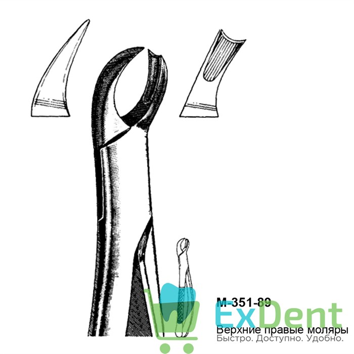 Щипцы, Legrin, №351/89 для удаления моляров верхней челюсти правой стороны 14514 - фото 32246