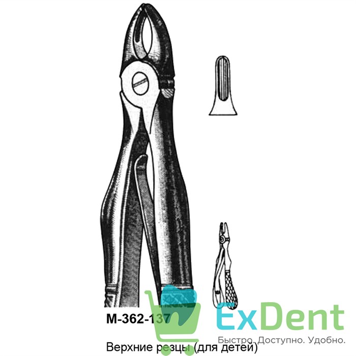 Щипцы, Legrin, №362/137 для удаления резцов верхней челюсти, для детей 13727 - фото 32255