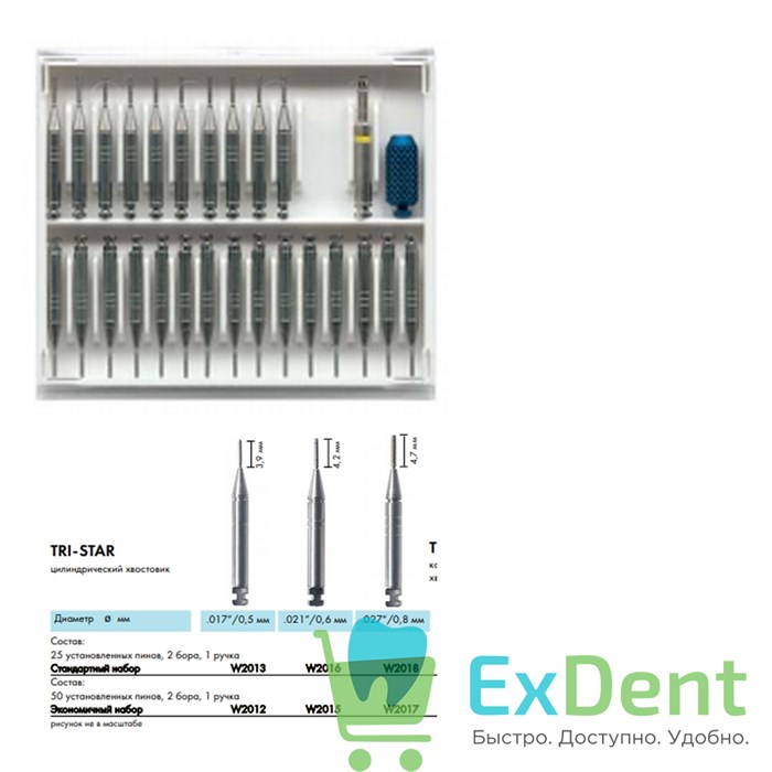 Штифты титановые парапульпарные TRI-STAR ,021"/0.6 мм (50 шт + 2 бора + ручка) 17940 - фото 32707