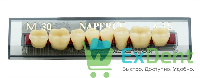 Гарнитур акриловых боковых зубов A3.5, M30L Naperce Posterior (8 шт) 17965 - фото 33508