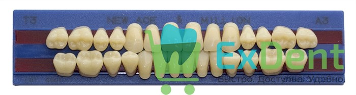 Гарнитур акриловых зубов A3, T3, M32, Million и New Ace (28 шт) 20602 - фото 34638