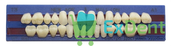 Гарнитур акриловых зубов A1, T3, M32, Million и New Ace (28 шт) 17455 - фото 34639