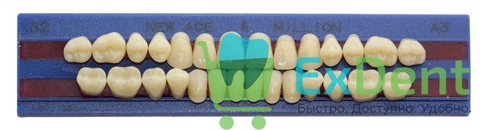 Гарнитур акриловых зубов A3, S2, M30, Million и New Ace (28 шт) 20228 - фото 34642