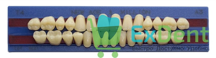 Гарнитур акриловых зубов A3, T4, M30, Million и New Ace (28 шт) 16251 - фото 34646
