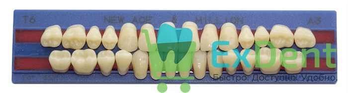Гарнитур акриловых зубов A3, T6, M32, Million и New Ace (28 шт) 18165 - фото 34648