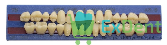 Гарнитур акриловых зубов A3,5, T5, M32, Million и New Ace (28 шт) 19816 - фото 34650