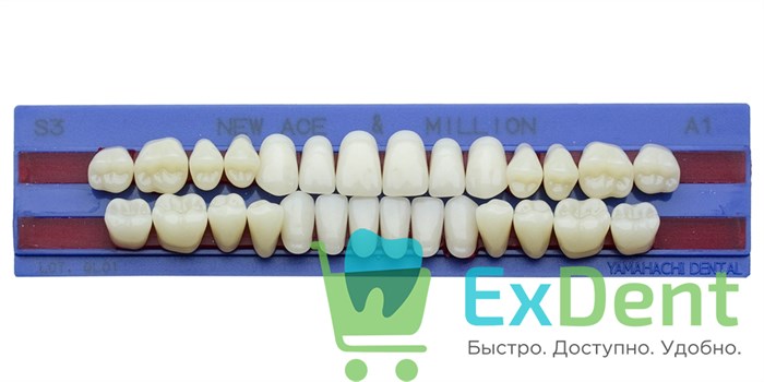 Гарнитур акриловых зубов A1, S3, M30, Million и New Ace (28 шт) 20494 - фото 35293