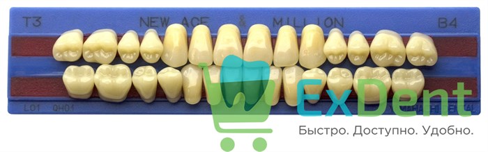 Гарнитур акриловых зубов B4, T3, M32, Million и New Ace (28 шт) 20955 - фото 35478