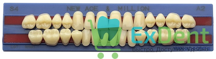 Гарнитур акриловых зубов A2, S4, M32, Million и New Ace (28 шт) 19060 - фото 35550
