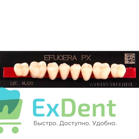 Гарнитур боковых зубов  Efucera PX - нижние, цвет A2 фасон 30, композитные трехслойные (8шт) 21405 - фото 35680