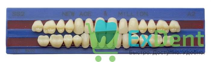 Гарнитур акриловых зубов A2, SS2, M28, Million и New Ace (28 шт) 14303 - фото 36117