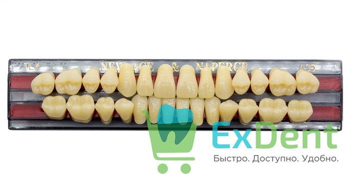 Гарнитур акриловых зубов A3,5, TL4, Naperce и New Ace (28 шт) 21122 - фото 26618