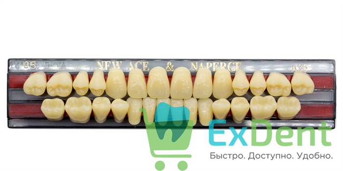 Гарнитур акриловых зубов A3,5, O5, Naperce и New Ace (28 шт) 20177 - фото 26675