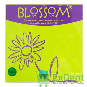 {{productViewItem.photos[photoViewList.activeNavIndex].Alt || productViewItem.photos[photoViewList.activeNavIndex].Description || 'Резиновые завесы Blossom зеленые M (152 х 152 мм) - листы латексные для раббердам (36 шт)'}}