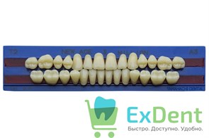 {{productViewItem.photos[photoViewList.activeNavIndex].Alt || productViewItem.photos[photoViewList.activeNavIndex].Description || 'Гарнитур акриловых зубов A3, T2, M30, Million и New Ace (28 шт)'}}