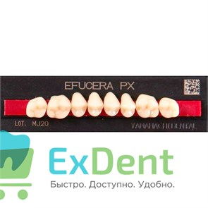 {{productViewItem.photos[photoViewList.activeNavIndex].Alt || productViewItem.photos[photoViewList.activeNavIndex].Description || 'Гарнитур боковых зубов  Efucera PX - верхние, цвет A2 фасон 32, композитные трехслойные (8шт)'}}