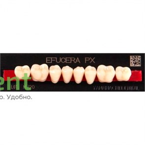 {{productViewItem.photos[photoViewList.activeNavIndex].Alt || productViewItem.photos[photoViewList.activeNavIndex].Description || 'Гарнитур боковых зубов  Efucera PX - нижние, цвет A1 фасон 32, композитные трехслойные (8шт)'}}