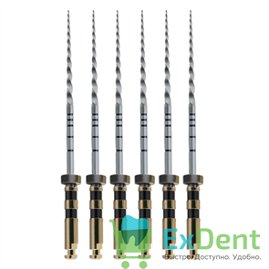 {{productViewItem.photos[photoViewList.activeNavIndex].Alt || productViewItem.photos[photoViewList.activeNavIndex].Description || 'ProTaper (ПроТейпер) машинный F4, 25 мм, Dentsply, для лечения сложных случаев (6 шт)'}}