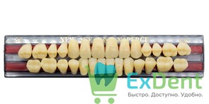 Гарнитур акриловых зубов A3,5, S6, Naperce и New Ace (28 шт) 20168