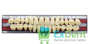 Гарнитур акриловых зубов C2, T5, Naperce и New Ace (28 шт) 20195