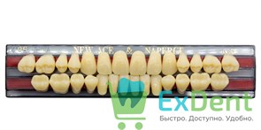 Гарнитур акриловых зубов A3,5, O5, Naperce и New Ace (28 шт) 20177
