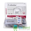 Biodentine (Биодентин) - биоактивный заменитель дентина (15+15 капсул) 17481 - фото 32164