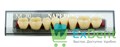 Гарнитур акриловых боковых зубов A3.5, M30L Naperce Posterior (8 шт) 17965 - фото 33508
