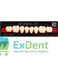 Гарнитур боковых зубов  Efucera PX - нижние, цвет A2 фасон 30, композитные трехслойные (8шт) 21405 - фото 35680
