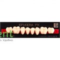 Гарнитур боковых зубов  Efucera PX - нижние, цвет A3 фасон 32, композитные трехслойные (8шт) 15999 - фото 35698