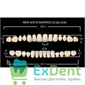 Гарнитур акриловых зубов A1, S3, Naperce и New Ace (28 шт) 19329 - фото 35816