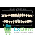 Гарнитур акриловых зубов B1, T3, Naperce и New Ace (28 шт) 17999 - фото 35824