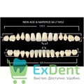 Гарнитур акриловых зубов B1, S6, Naperce и New Ace (28 шт) 14643 - фото 35828