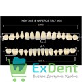 Гарнитур акриловых зубов C3, T5, L7, M32 Gloria New Ace Million (560 шт) 14966 - фото 35858