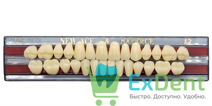 Гарнитур акриловых зубов A2, T2, Naperce и New Ace (28 шт) - фото 11333