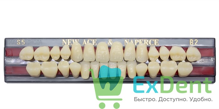 Гарнитур акриловых зубов B2, S5, Naperce и New Ace (28 шт) - фото 11353