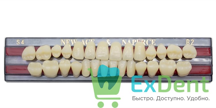 Гарнитур акриловых зубов B2, S4, Naperce и New Ace (28 шт) - фото 11361