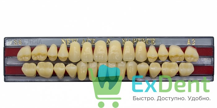 Гарнитур акриловых зубов A3, S6, Naperce и New Ace (28 шт) - фото 21512
