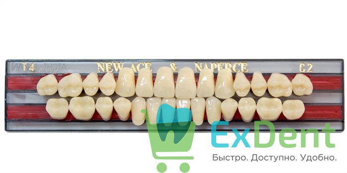 Гарнитур акриловых зубов C2, T4, Naperce и New Ace (28 шт) - фото 27253
