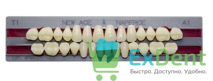 Гарнитур акриловых зубов A1, T1, Naperce и New Ace (28 шт) - фото 31289