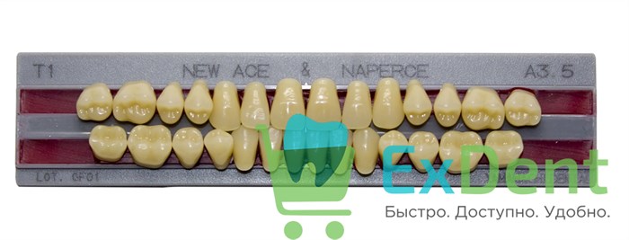 Гарнитур акриловых зубов A3,5, T1, Naperce и New Ace (28 шт) - фото 31293