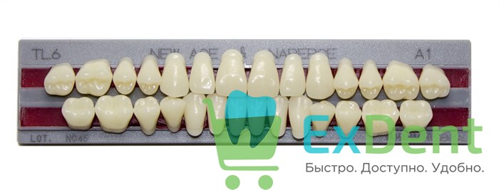 Гарнитур акриловых зубов A1, TL6, Naperce и New Ace (28 шт) - фото 31296