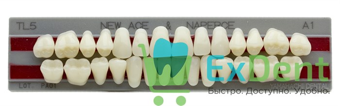 Гарнитур акриловых зубов A1, TL5, Naperce и New Ace (28 шт) - фото 33476