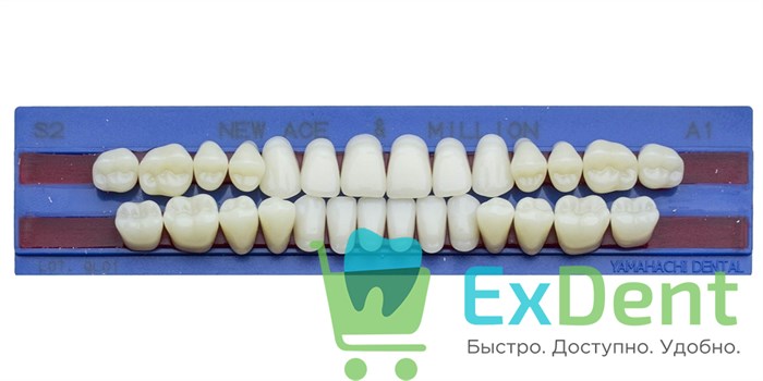 Гарнитур акриловых зубов A1, S2, M30, Million и New Ace (28 шт) - фото 38894