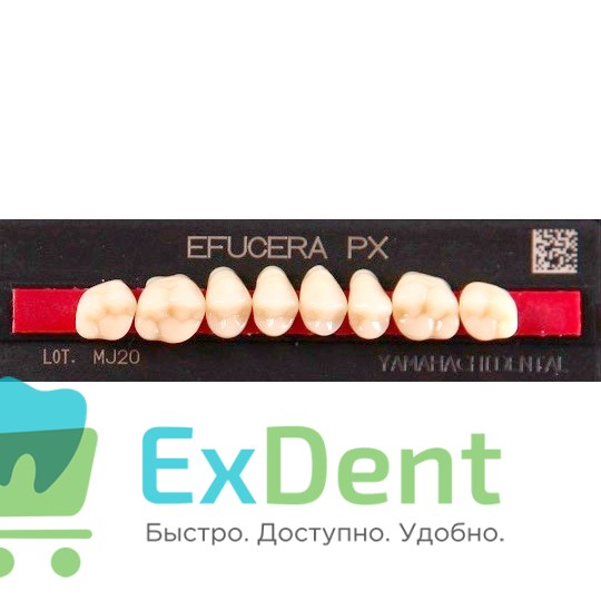 Гарнитур боковых зубов  Efucera PX - верхние, цвет A3 фасон 34, композитные трехслойные (8шт) - фото 39934