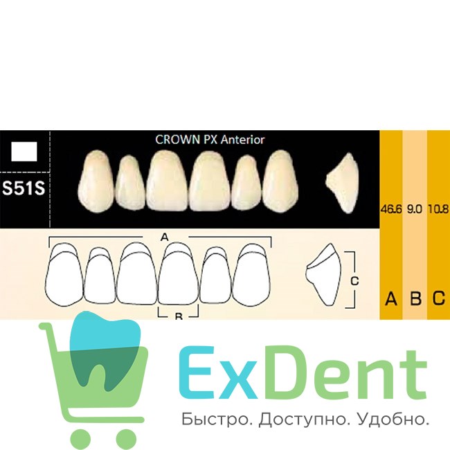 Гарнитур фронтальных зубов  Crown PX - верхние, цвет A1 фасон S51S, композитные трехслойные (6шт) - фото 39977