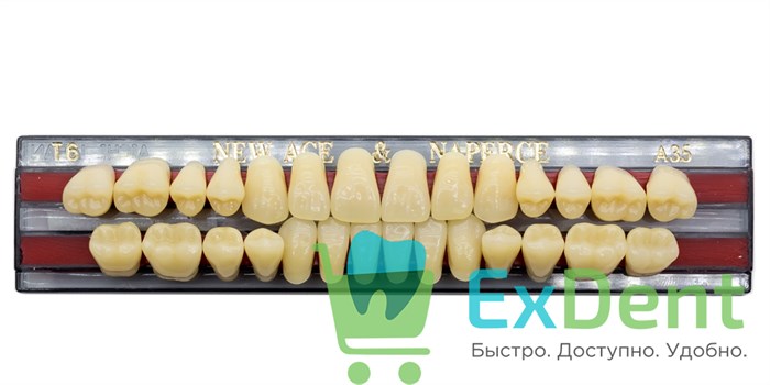 Гарнитур акриловых зубов A3,5, T6, Naperce и New Ace (28 шт) - фото 9449