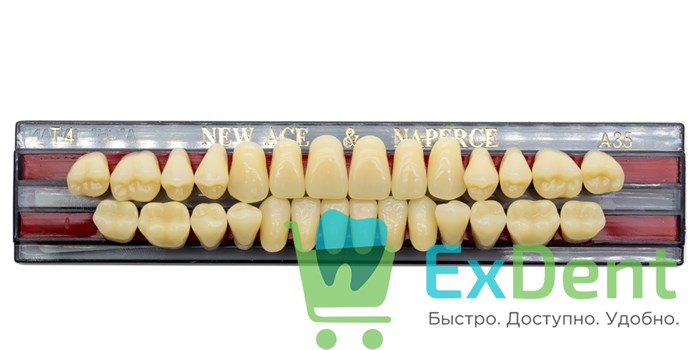 Гарнитур акриловых зубов A3,5, T4, Naperce и New Ace (28 шт) - фото 9451