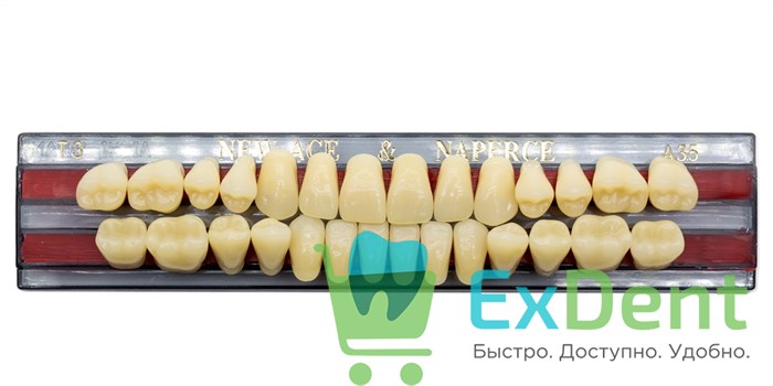 Гарнитур акриловых зубов A3,5, T3, Naperce и New Ace (28 шт) - фото 9452